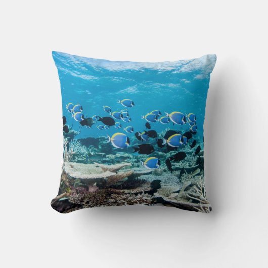 Tropical Beaches | Sturgeon Amongst Coral クッション (正面)