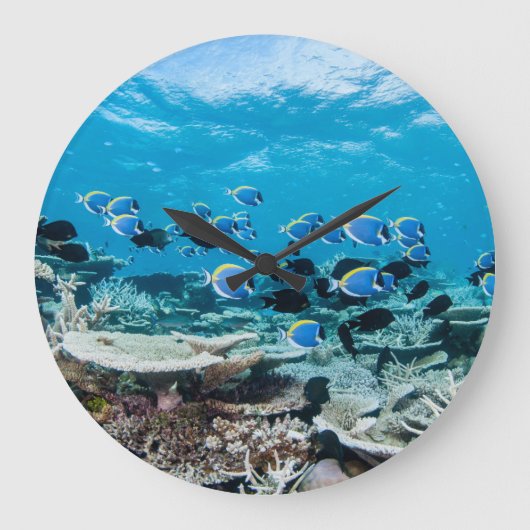 Tropical Beaches | Sturgeon Amongst Coral ラージ壁時計 (正面)