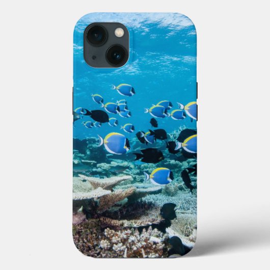 Tropical Beaches | Sturgeon Amongst Coral Case-Mate iPhoneケース (裏面)