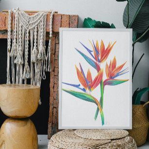 Tropical Bird Of Paradise Drawing ポスター