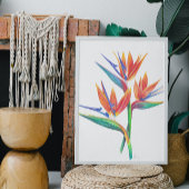 Tropical Bird Of Paradise Drawing ポスター