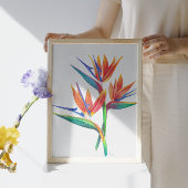 Tropical Bird Of Paradise Drawing ポスター