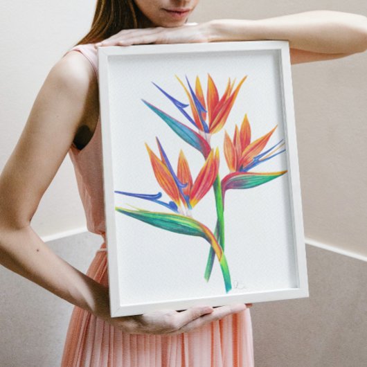 Tropical Bird Of Paradise Drawing ポスター