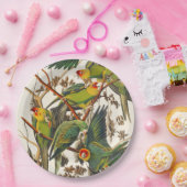 Tropical bird unique paper plates ペーパープレート (パーティー)