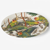 Tropical bird unique paper plates ペーパープレート (アングル)