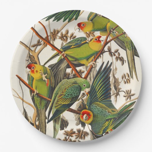 Tropical bird unique paper plates ペーパープレート (正面)