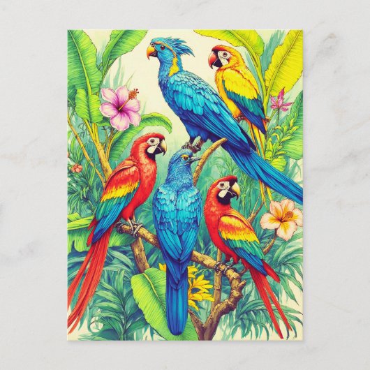 Tropical Birds Botanical Illustration ポストカード (正面)