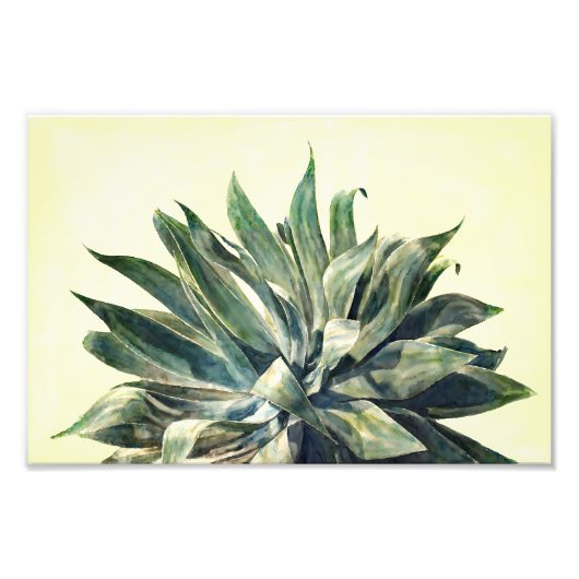Tropical Botanical Watercolor Print Modern Agave フォトプリント (正面)