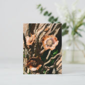 Tropical Bouquet Dried Coconut Botanical ポストカード (スタンド正面)