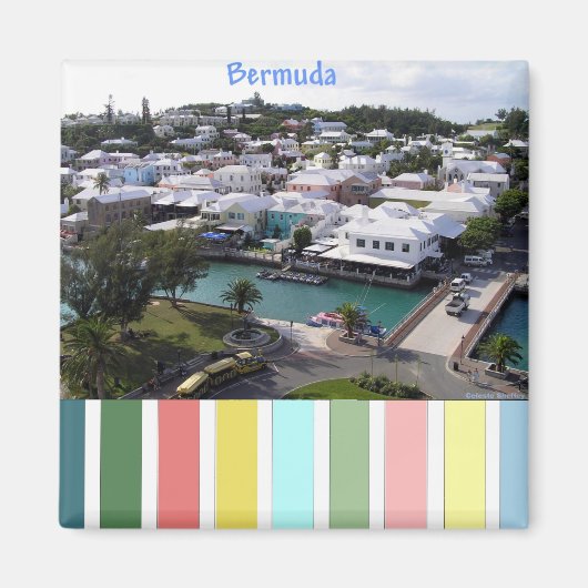 Tropical Colors of Bermuda マグネット (正面)