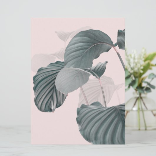 Tropical Elegance in Pastel (スタンド正面)
