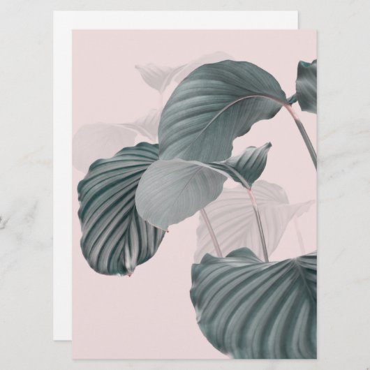 Tropical Elegance in Pastel (正面/裏面)