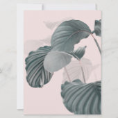 Tropical Elegance in Pastel (正面)