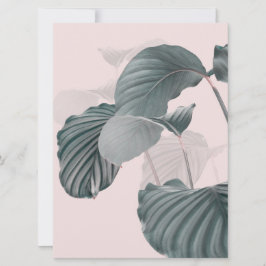Tropical Elegance in Pastel