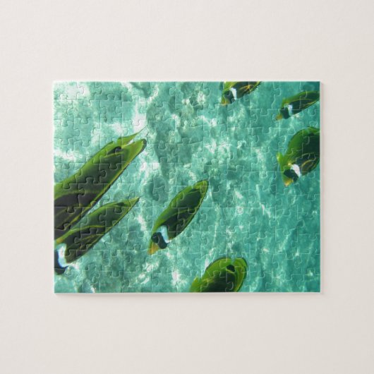 Tropical Fish Underwater ジグソーパズル (横)