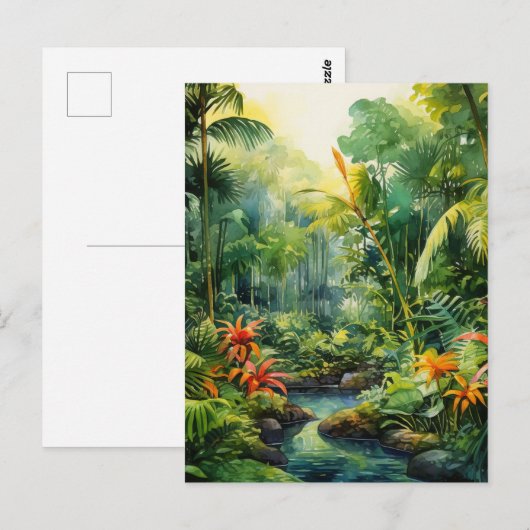Tropical Forest ポストカード (正面/裏面)