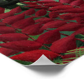 Tropical Forest with Monkeys by Henri Rousseau. ポスター (角)