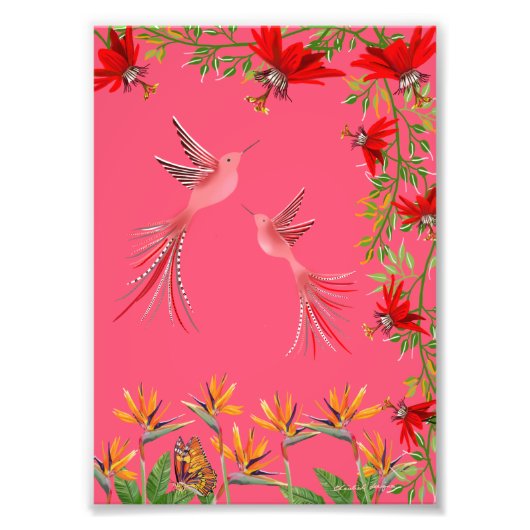 Tropical hummingbirds flowers plant wall poster フォトプリント (正面)