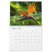 Tropical Life with Beautiful Beach Photos カレンダー (2月 2026)