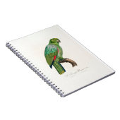tropical macaw parrot ノートブック (右側)