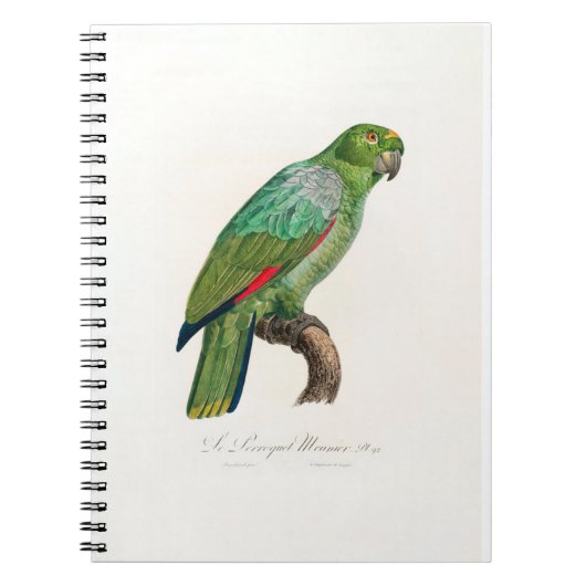tropical macaw parrot ノートブック (正面)