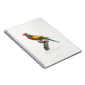 tropical macaw parrot ノートブック (右側)