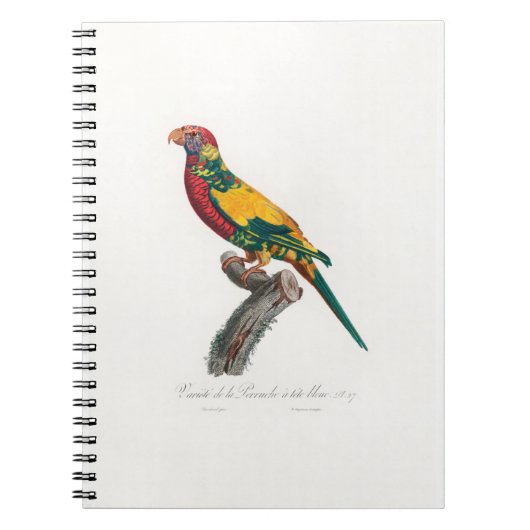tropical macaw parrot ノートブック (正面)