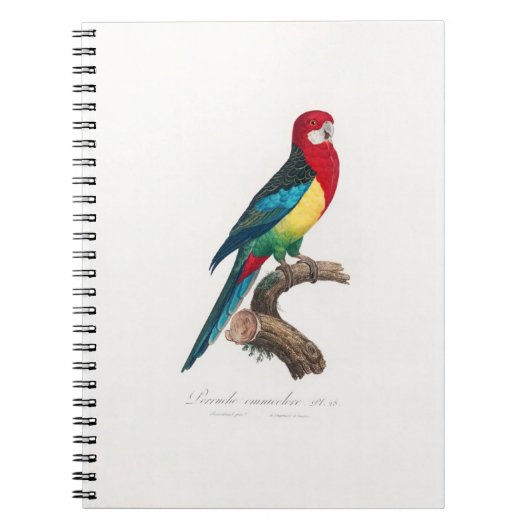 tropical macaw parrot ノートブック (正面)