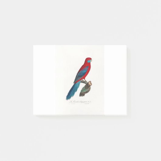 tropical macaw parrot ポストイット (正面)
