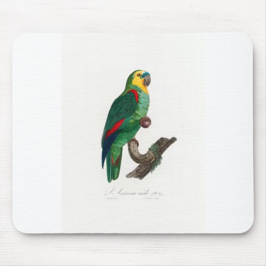 tropical macaw parrot マウスパッド (正面)