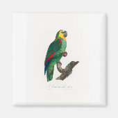 tropical macaw parrot マグネット (正面)
