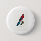 tropical macaw parrot 缶バッジ (正面)