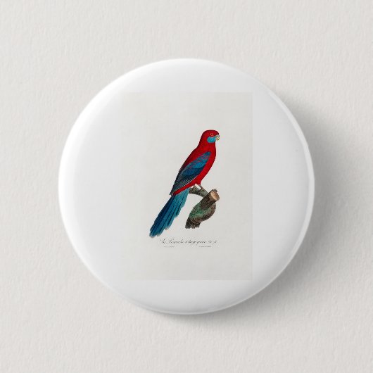 tropical macaw parrot 缶バッジ (正面)