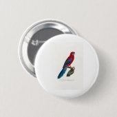 tropical macaw parrot 缶バッジ (正面&裏面)