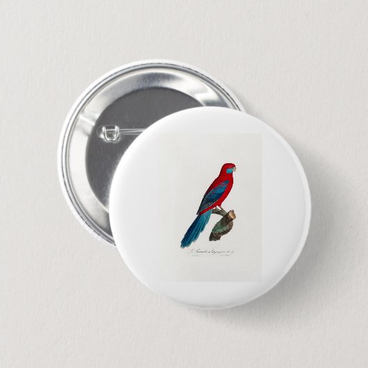 tropical macaw parrot 缶バッジ (正面&裏面)