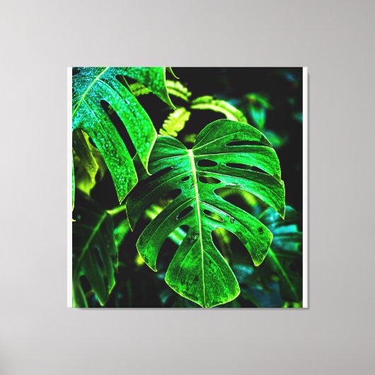 Tropical Monstera Glow – Jungle Leaf Photography キャンバスプリント (正面)