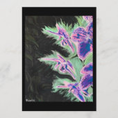 ‘Tropical Orchid’ Painting on a Small-Scale Print  招待状 (正面)