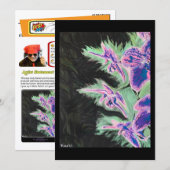 ‘Tropical Orchid’ Painting on a Small-Scale Print 招待状 (正面/裏面)