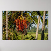 Tropical Palm Fruit Island Landscape Poster Print ポスター (正面)