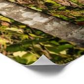 Tropical Palm Fruit Island Landscape Poster Print ポスター (角)