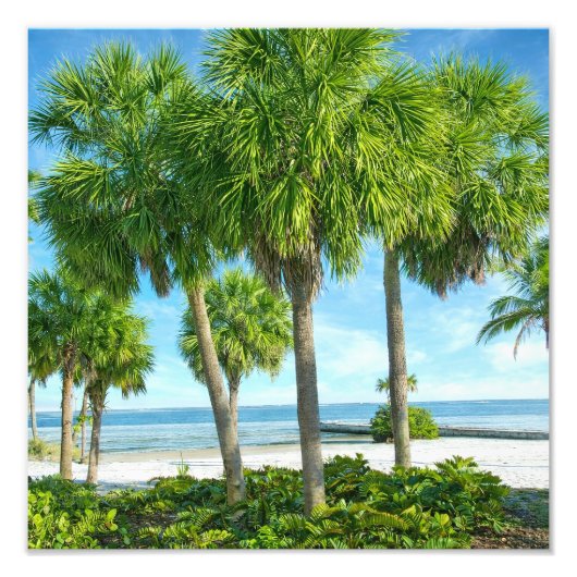 Tropical Palm Garden Wall Art Coastal Decor フォトプリント (正面)