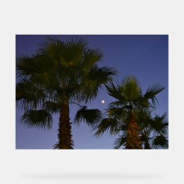 Tropical Palm Tree Wall Art Twilight Coastal アクリルサイン