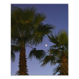 Tropical Palm Tree Wall Art Twilight Coastal フォトプリント
