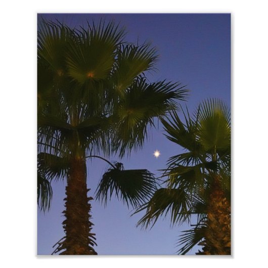 Tropical Palm Tree Wall Art Twilight Coastal フォトプリント (正面)