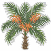Tropical Palm Tree With Bright Orange Flowers シール (正面)