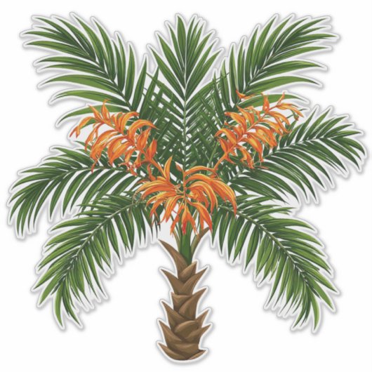 Tropical Palm Tree With Bright Orange Flowers シール (正面)
