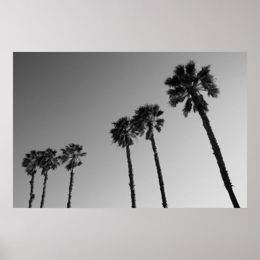 Tropical Palm Trees Poster,Print ポスター (正面)