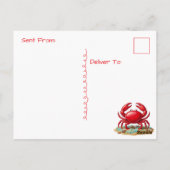 Tropical Paradise | Coastal Keeping in Touch ポストカード (裏面)