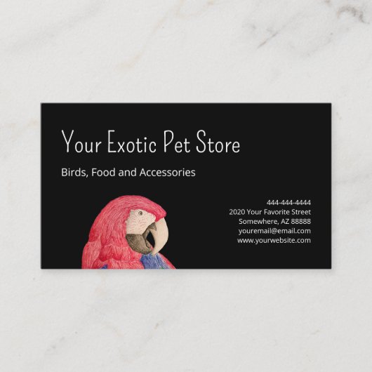 Tropical Parrot Bird Macaw Pet Store Back 名刺 (正面)