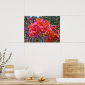 Tropical Pink Bougainvillea ポスター (キッチン)
